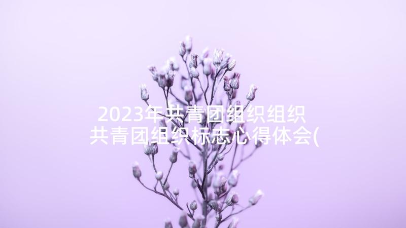 2023年共青团组织组织 共青团组织标志心得体会(精选5篇)