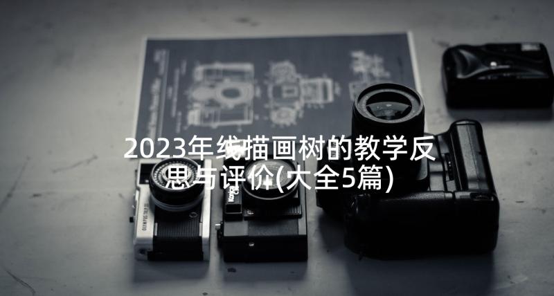 2023年线描画树的教学反思与评价(大全5篇)