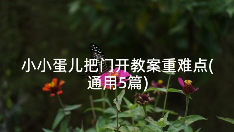 小小蛋儿把门开教案重难点(通用5篇)