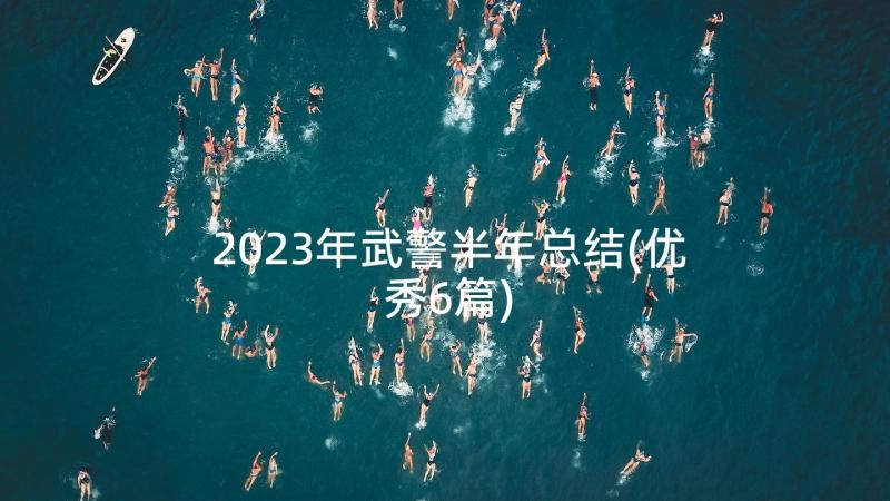 2023年武警半年总结(优秀6篇)