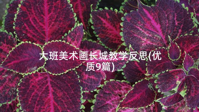 大班美术画长城教学反思(优质9篇)