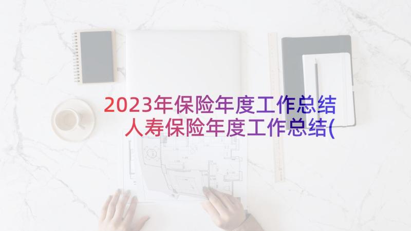 2023年保险年度工作总结 人寿保险年度工作总结(精选5篇)