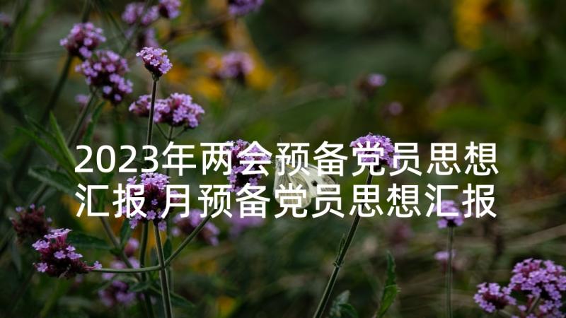 2023年两会预备党员思想汇报 月预备党员思想汇报结合时事(精选5篇)