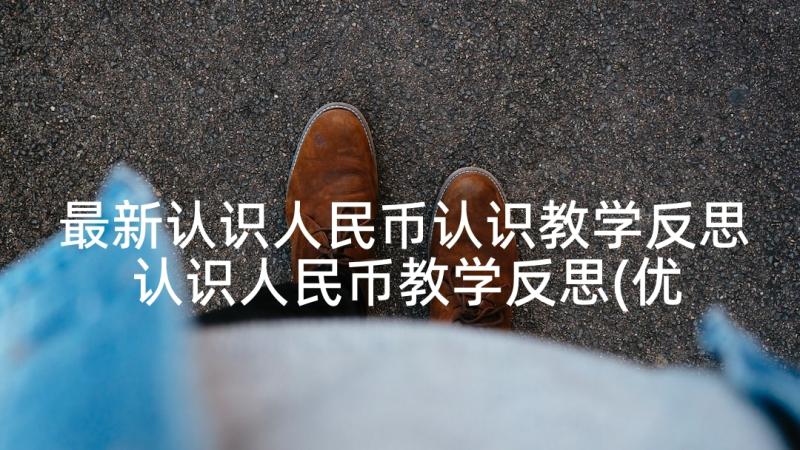 最新认识人民币认识教学反思 认识人民币教学反思(优质5篇)