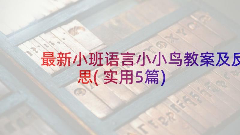 最新小班语言小小鸟教案及反思(实用5篇)