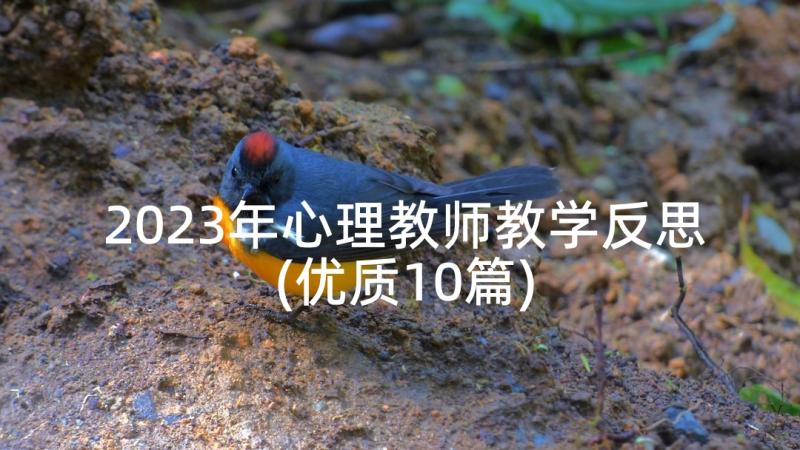 2023年心理教师教学反思(优质10篇)