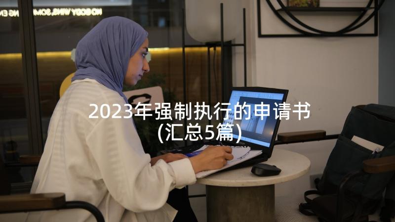 2023年强制执行的申请书(汇总5篇)