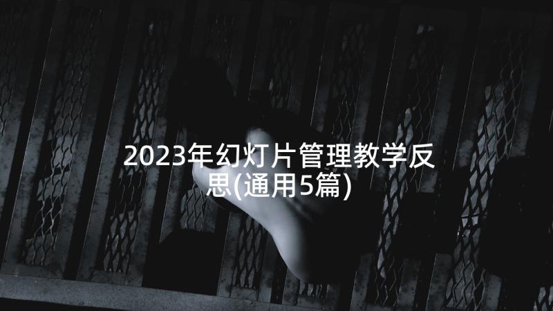 2023年幻灯片管理教学反思(通用5篇)