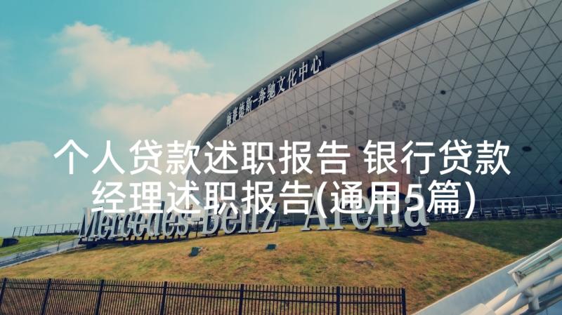 个人贷款述职报告 银行贷款经理述职报告(通用5篇)