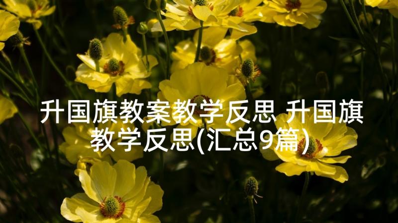 升国旗教案教学反思 升国旗教学反思(汇总9篇)