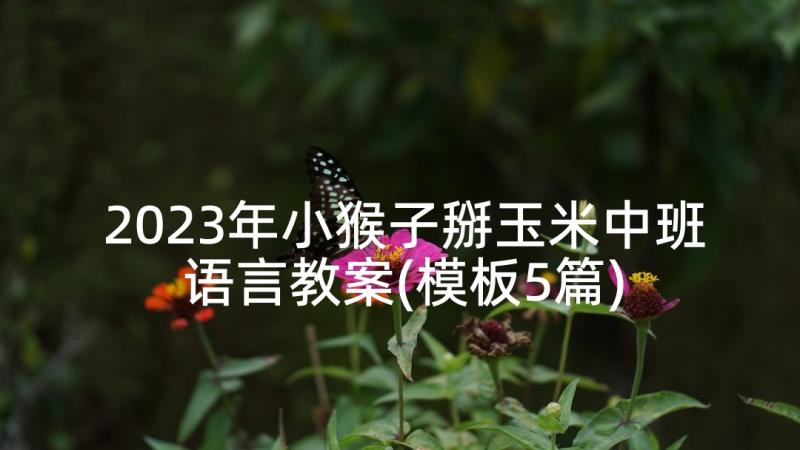 2023年小猴子掰玉米中班语言教案(模板5篇)