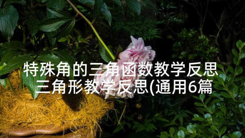 特殊角的三角函数教学反思 三角形教学反思(通用6篇)