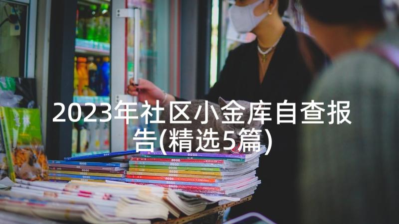 2023年社区小金库自查报告(精选5篇)