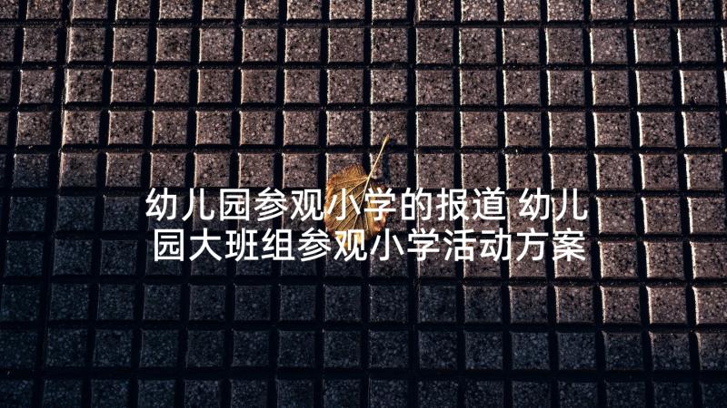 幼儿园参观小学的报道 幼儿园大班组参观小学活动方案(优质5篇)