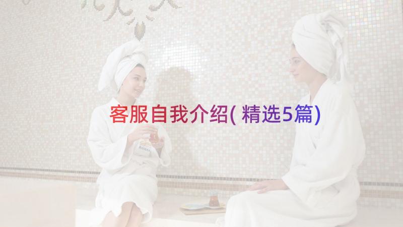 客服自我介绍(精选5篇)