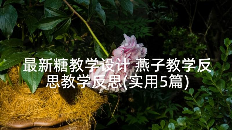 最新糖教学设计 燕子教学反思教学反思(实用5篇)