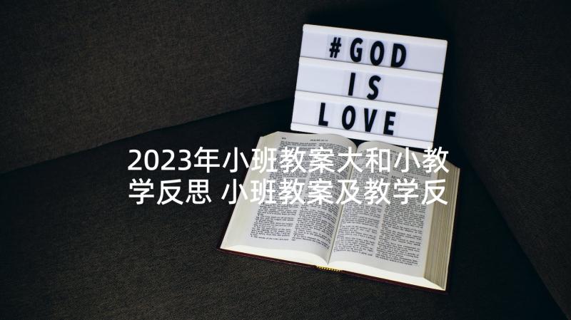 2023年小班教案大和小教学反思 小班教案及教学反思(大全9篇)