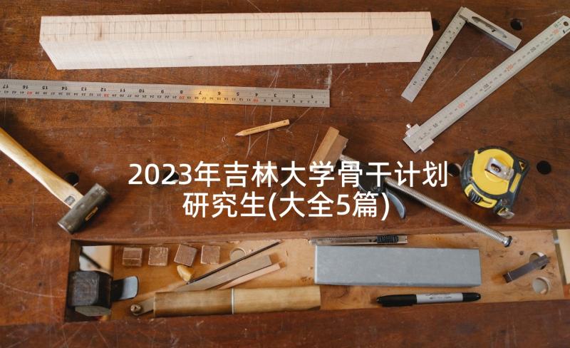 2023年吉林大学骨干计划研究生(大全5篇)