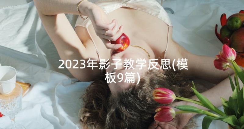 2023年影子教学反思(模板9篇)