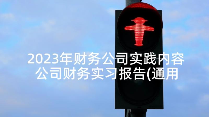 2023年财务公司实践内容 公司财务实习报告(通用7篇)