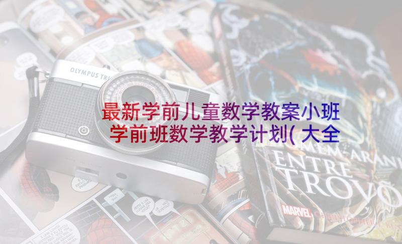 最新学前儿童数学教案小班 学前班数学教学计划(大全5篇)