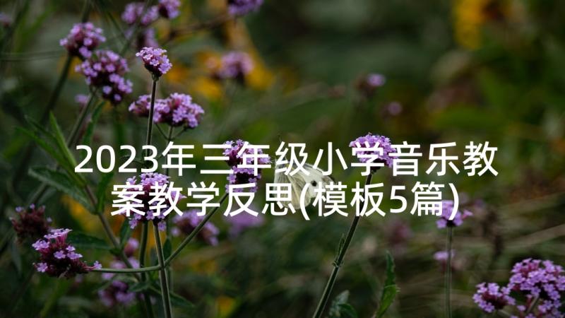 2023年三年级小学音乐教案教学反思(模板5篇)