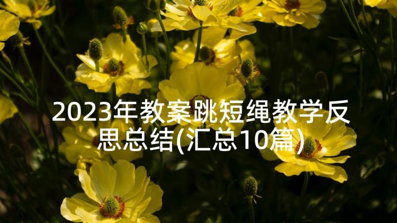 2023年教案跳短绳教学反思总结(汇总10篇)