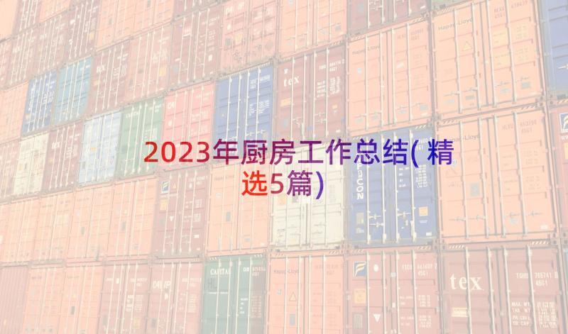 2023年厨房工作总结(精选5篇)