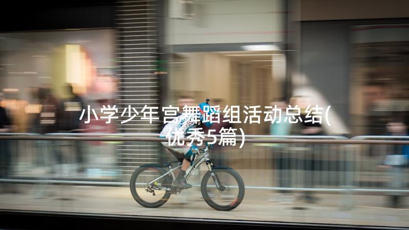 小学少年宫舞蹈组活动总结(优秀5篇)