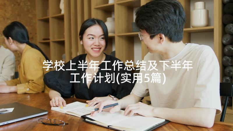 学校上半年工作总结及下半年工作计划(实用5篇)