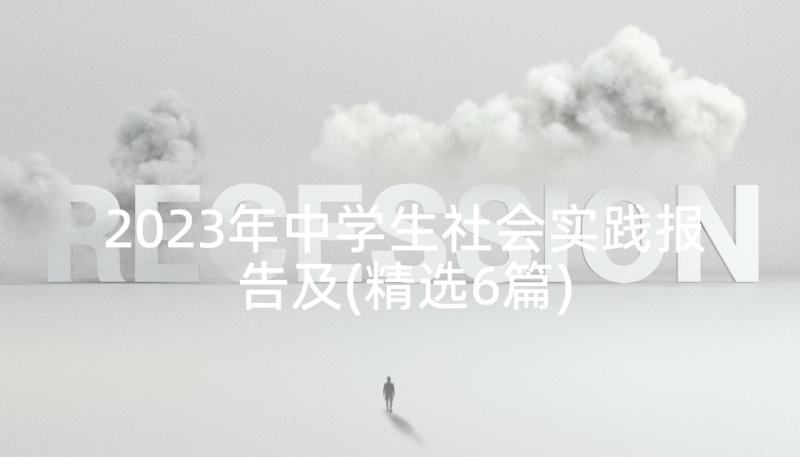 2023年中学生社会实践报告及(精选6篇)