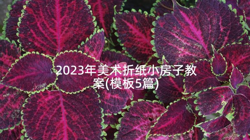 2023年美术折纸小房子教案(模板5篇)