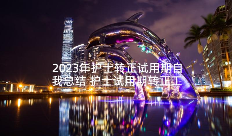 2023年护士转正试用期自我总结 护士试用期转正工作述职报告(精选6篇)