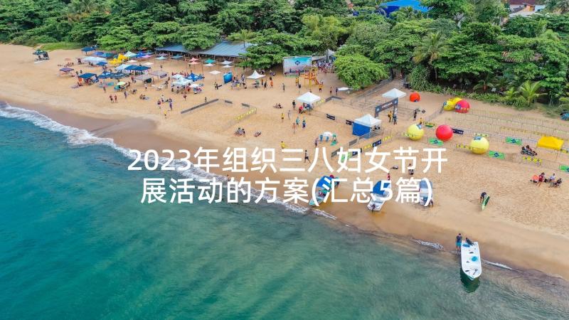 2023年组织三八妇女节开展活动的方案(汇总5篇)