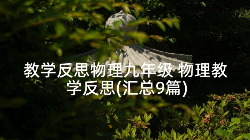 教学反思物理九年级 物理教学反思(汇总9篇)