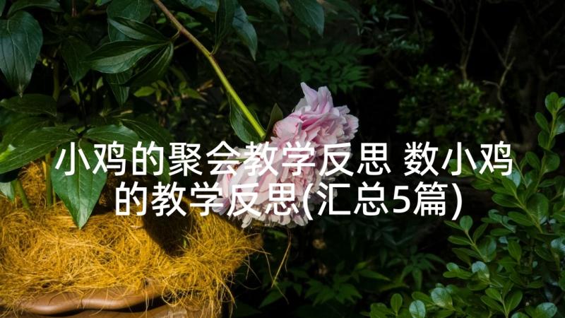 小鸡的聚会教学反思 数小鸡的教学反思(汇总5篇)