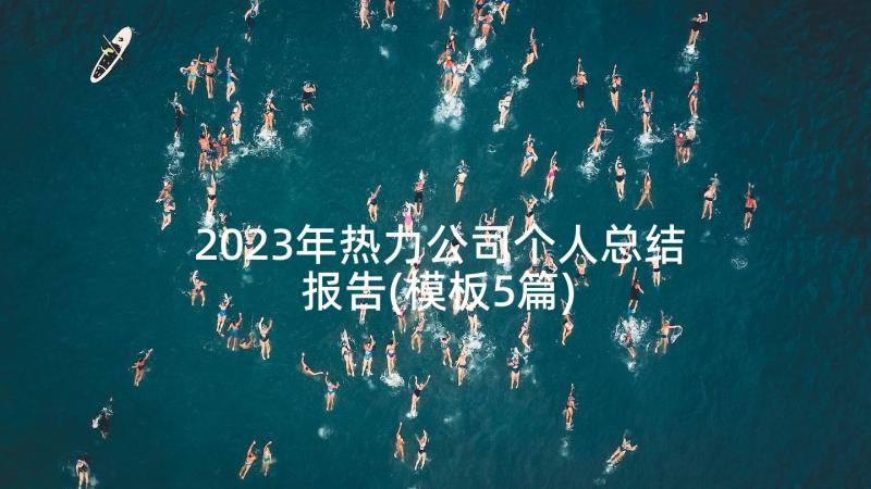 2023年热力公司个人总结报告(模板5篇)