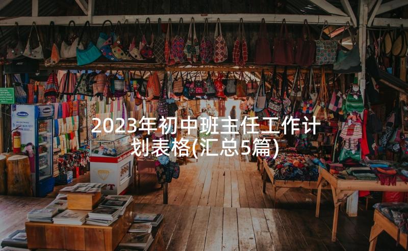 2023年初中班主任工作计划表格(汇总5篇)