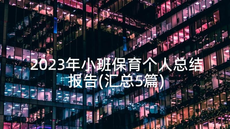 2023年小班保育个人总结报告(汇总5篇)