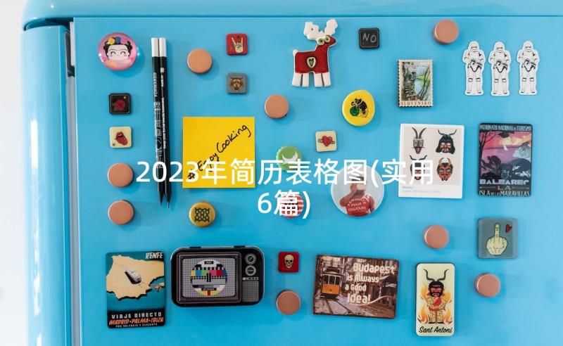 2023年简历表格图(实用6篇)