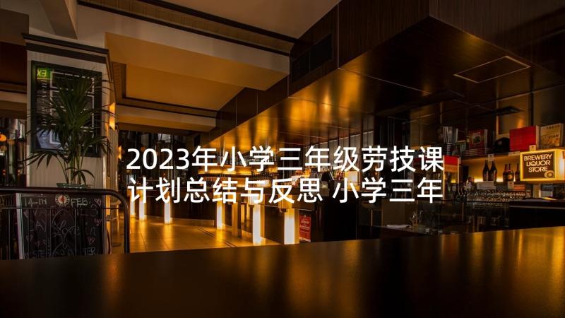 2023年小学三年级劳技课计划总结与反思 小学三年级班主任工作计划总结(精选5篇)