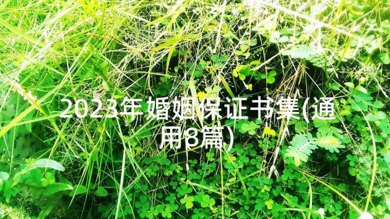 2023年婚姻保证书集(通用8篇)