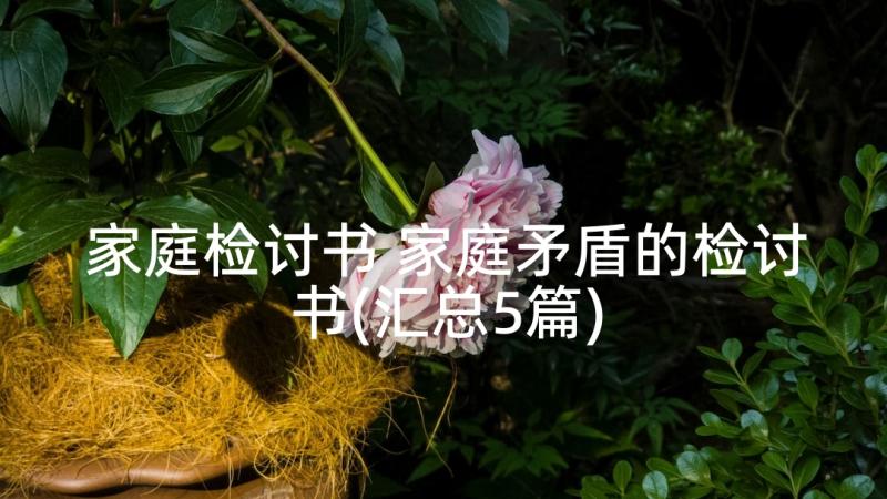 家庭检讨书 家庭矛盾的检讨书(汇总5篇)