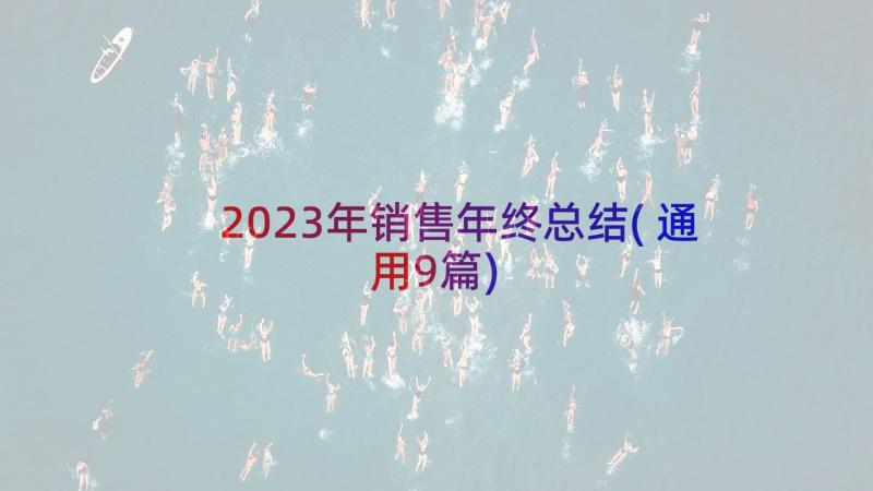 2023年销售年终总结(通用9篇)