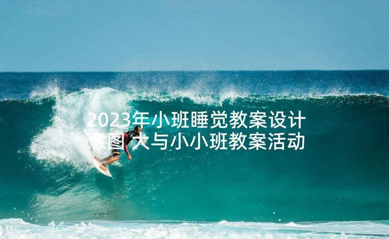 2023年小班睡觉教案设计意图 大与小小班教案活动(模板5篇)