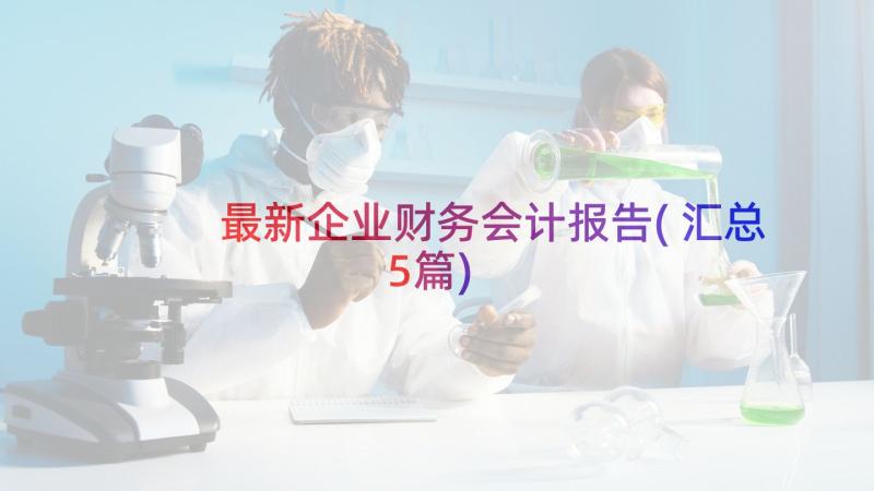 最新企业财务会计报告(汇总5篇)