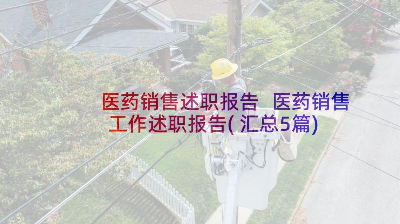 医药销售述职报告 医药销售工作述职报告(汇总5篇)