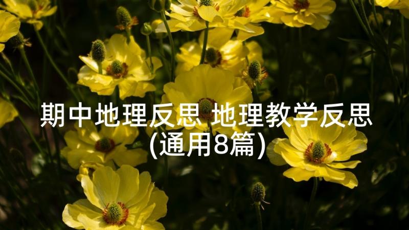 期中地理反思 地理教学反思(通用8篇)