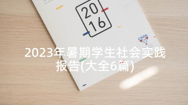 2023年暑期学生社会实践报告(大全6篇)