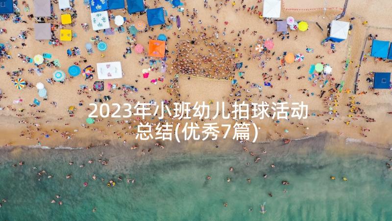 2023年小班幼儿拍球活动总结(优秀7篇)